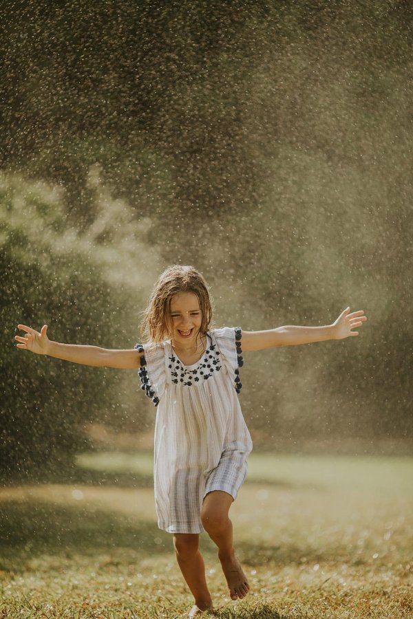 Comment irriguer efficacement les plantes de votre jardin pendant les périodes de chaleur intense ?