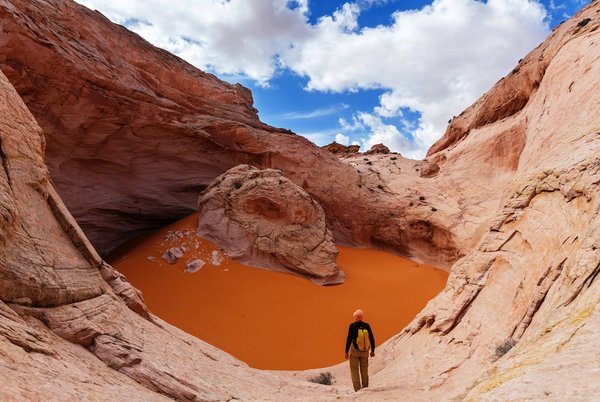 Des cadeaux inspirés des galaxies inconnues : trouver le cadeau parfait pour les amateurs d'une exploration cosmique
