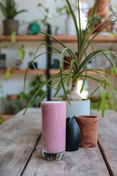 Comment s’occuper des plantes pendant un déménagement ?