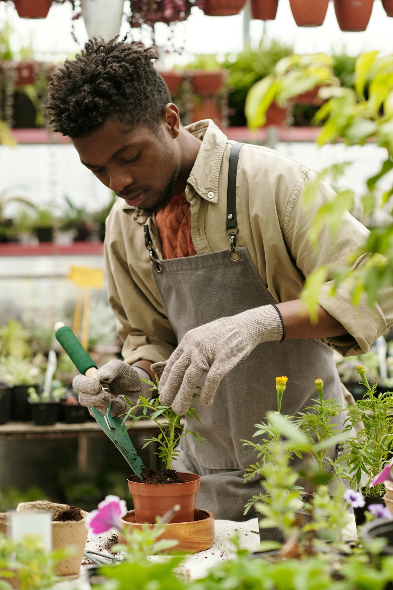 Conseils pour entretenir vos plantes d’intérieur